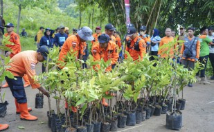 BPBD Jatim Tanam Ribuan Pohon untuk Mitigasi Bencana Hidrometeorologi