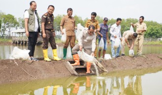 Pemkab Pasuruan dan Kejari Bersinergi Dukung Ketahanan Pangan Lewat Budidaya Bandeng