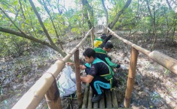 Surabaya Gelar Aksi Bersih Mangrove dalam Peringatan HPSN 2025