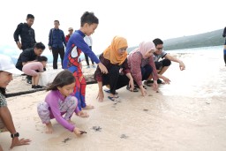 Gubernur Khofifah Lepas Puluhan Tukik di Pulau Tabuhan, Ajarkan Konservasi Lingkungan
