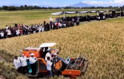 Presiden Prabowo Panen Raya di Majalengka, Tegaskan Tanpa Pangan Tak Ada Negara