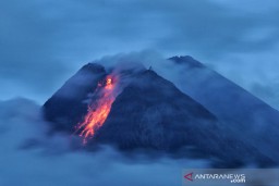 Luncuran Lava Pijar Merapi Sepanjang 700 Meter ke Arah Krasak