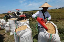 Presiden Jokowi: Kementerian Perdagangan Harus Bergerak Cek Harga