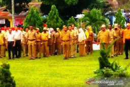 Wow! Data Tenaga Honorer di Papua Tembus 64 Ribu Orang
