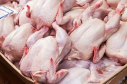 China Temukan Sayap Ayam dari Brasil Positif Covid-19