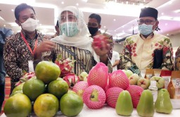 Misi Dagang Jatim 2020