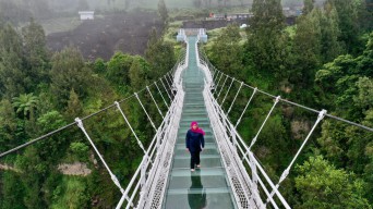 Jembatan Kaca Seruni Point Jadi Primadona Icon  Baru  Wisata di Kawasan Bromo