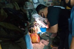 Di Indramayu, Suami Diduga Bunuh Istri Lalu Dikubur di Bawah Ranjang