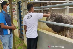 Kebun Binatang Mini Dikembangkan di Temanggung