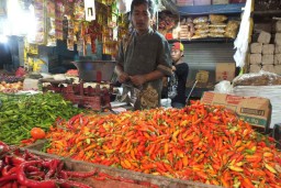 Cabai Rawit di Jember Tembus Rp 120 Ribu per Kg