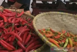 Harga Cabai Rawit di Purwokerto Tembus Rp 75 Ribu per Kg