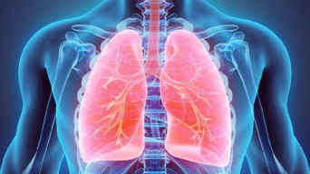 7 Tips Menjaga Organ Pernapasan agar Tetap Sehat