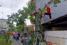 Pemkot Surabaya Sigap Atasi Dampak Angin Puting Beliung di Kecamatan Mulyorejo