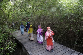 Pemerintah Kota Surabaya Gelar Acara Spesial untuk HUT ke-1 Kebun Raya Mangrove