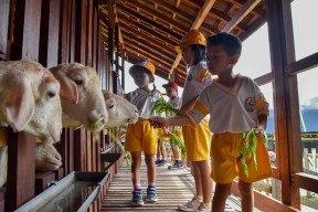 Mini Agrowisata Surabaya Jadi Destinasi Edukasi Favorit Anak-anak