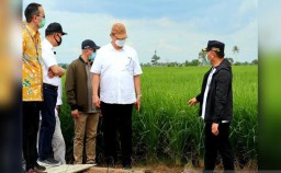 Siapkan Irigasi di Program Food Estate
