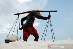 DPR RI: Garam Rakyat Masih Belum Banyak yang Terserap