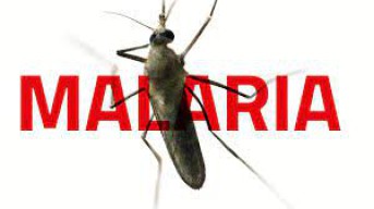 Tahun ini, 5 Provinsi dan 9 Kabupaten/Kota Berhasil Eliminasi Malaria