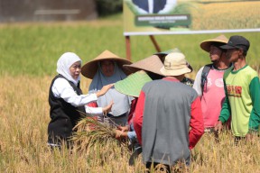Gubernur Khofifah Apresiasi Inovasi Petani yang Kembangkan Pupuk Organik Biosaka
