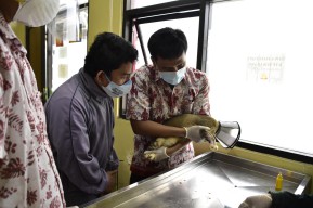 Pemkot Surabaya Sediakan Layanan Klinik Hewan Secara Gratis
