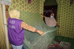 Waspada! Nyamuk Ternyata Pembunuh Nomor Satu di Dunia