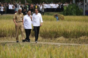 Dampingi Presiden Tinjau Panen Raya, Ganjar Dukung Indonesia Jadi Lumbung Pangan Dunia