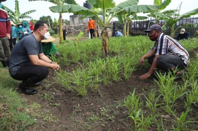 Pemkot Surabaya Manfaatkan Lahan BTKD Tambak Wedi untuk Urban Farming