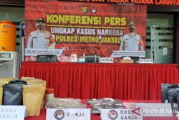 Hati-hati, Beredar Susu Bubuk Coklat Dicampur dengan Ganja