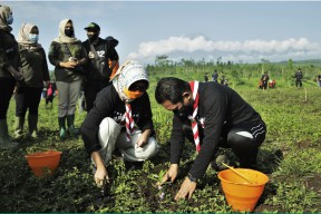 Hari Pohon Sedunia, Pemkab Lumajang Tanam 1.000 Pohon di Desa Ranupani