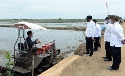 Food Estate akan Menggunakan VUB untuk Tingkatkan Produktivitas dan IP