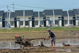 Dewan Minta Pemerintah Perhatikan Nasib Petani