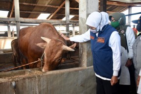 Segera Lakukan Vaksinasi Sebagai Langkah Preventif