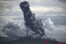 Anak Krakatau Erupsi, Semburkan Abu Vulkanik 657 Meter