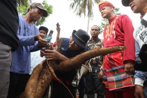 Ganjar: Ini Praktik Jaga Ketahanan Pangan
