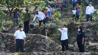 Presiden Jokowi Tanam Pohon Bersama Masyarakat di Desa Simangulampe