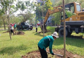 Pemkot Ingin Buat Suasana Kota Surabaya Tetap Sejuk