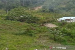 Pembunuhan Satu Keluarga di Sigi Undang Simpati dan Empati