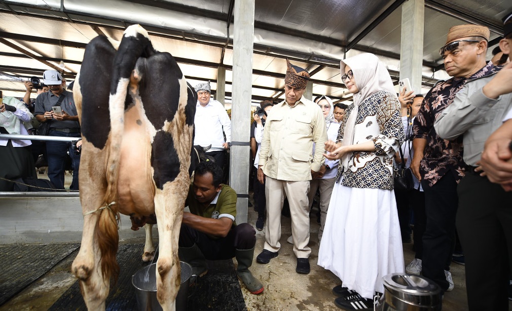 Menteri Pertanian, Andi Amran Sulaiman  saat melakukan kunjungan kerja ke Kabupaten Pasuruan. Tepatnya di KUTT Sukamakmur Grati, Kamis (14/11/2024) siang