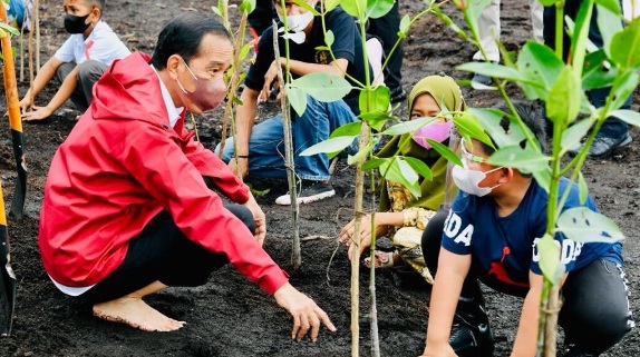  Presiden Joko Widodo melakukan penanaman pohon mangrove bersama masyarakat di Pantai Wisata Raja Kecik, Desa Muntai Barat, Kecamatan Bantan, Kabupaten Bengkalis, Provinsi Riau, pada Selasa, 28 September 2021.
