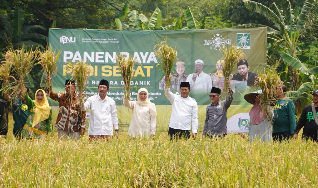 Gubernur Jawa Timur terpilih, Khofifah Indar Parawansa didampingi Penjabat (Pj.) Bupati Pasuruan Nurkholis saat agenda Panen Raya Padi Sehat yang digelar di Dusun Suketi, Desa Kejayan, Kecamatan Kejayan