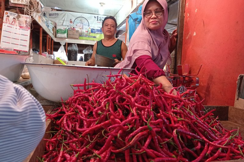 Pedagang Cabai Giling Adinda sedang melayani pembeli di Pasar Raya Padang, Minggu (16/12). (Antara/Mutiara)