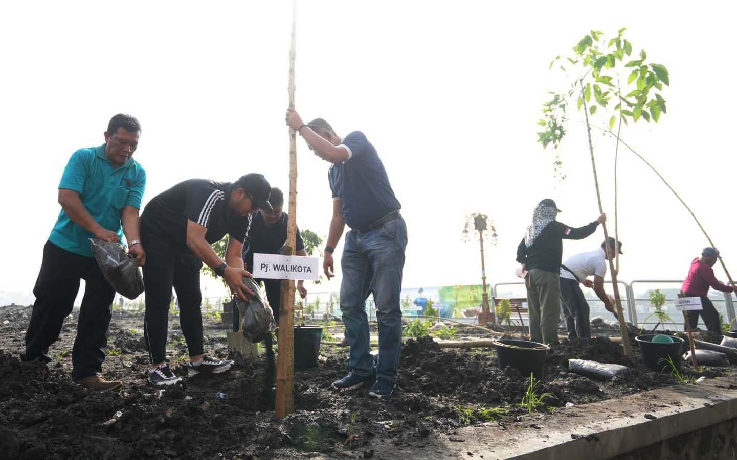 Penjabat (Pj.) Wali Kota Mojokerto, Moh. Ali Kuncoro, bersama dengan Aparatur Sipil Negara (ASN) Pemkot Mojokerto, melaksanakan kegiatan penanaman pohon tabebuya di area kolam retensi, Kelurahan Kedundung, Kecamatan Magersari, pada Jumat pagi (12/1/2024)
