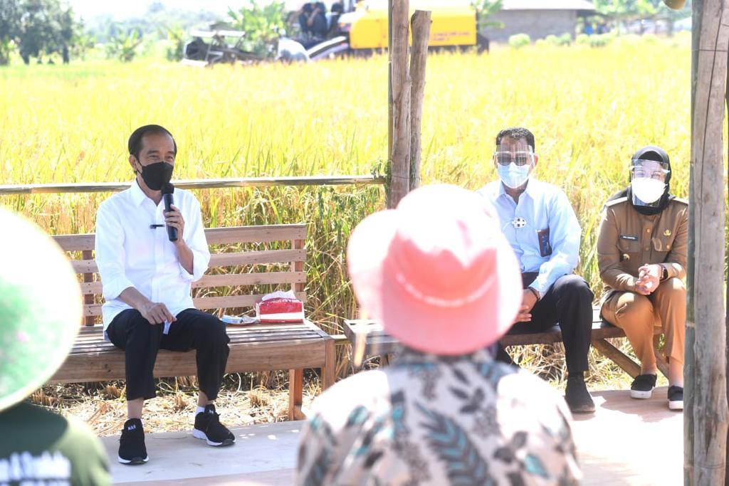 Jokowi berdialog dengan petani. IST