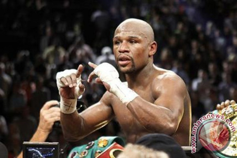  Floyd Mayweather. ant