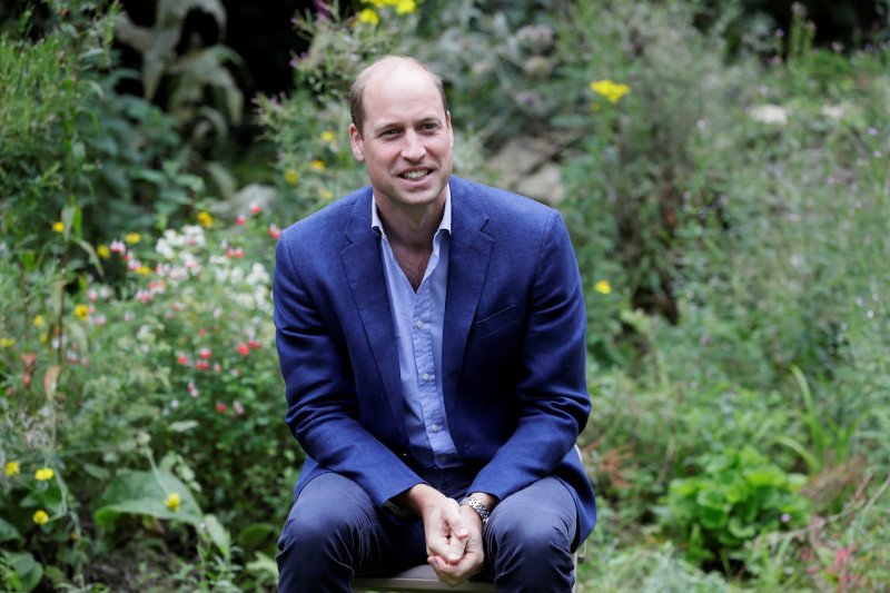 Pangeran William. ant
