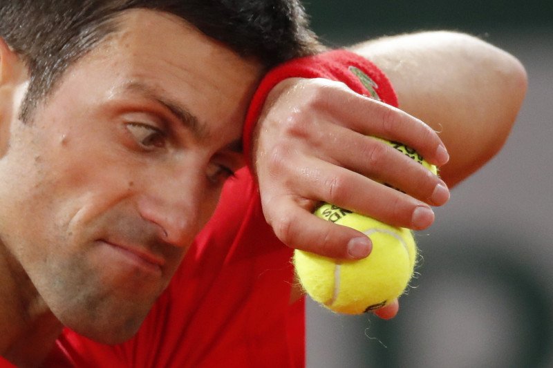 Novak Djokovic. ant