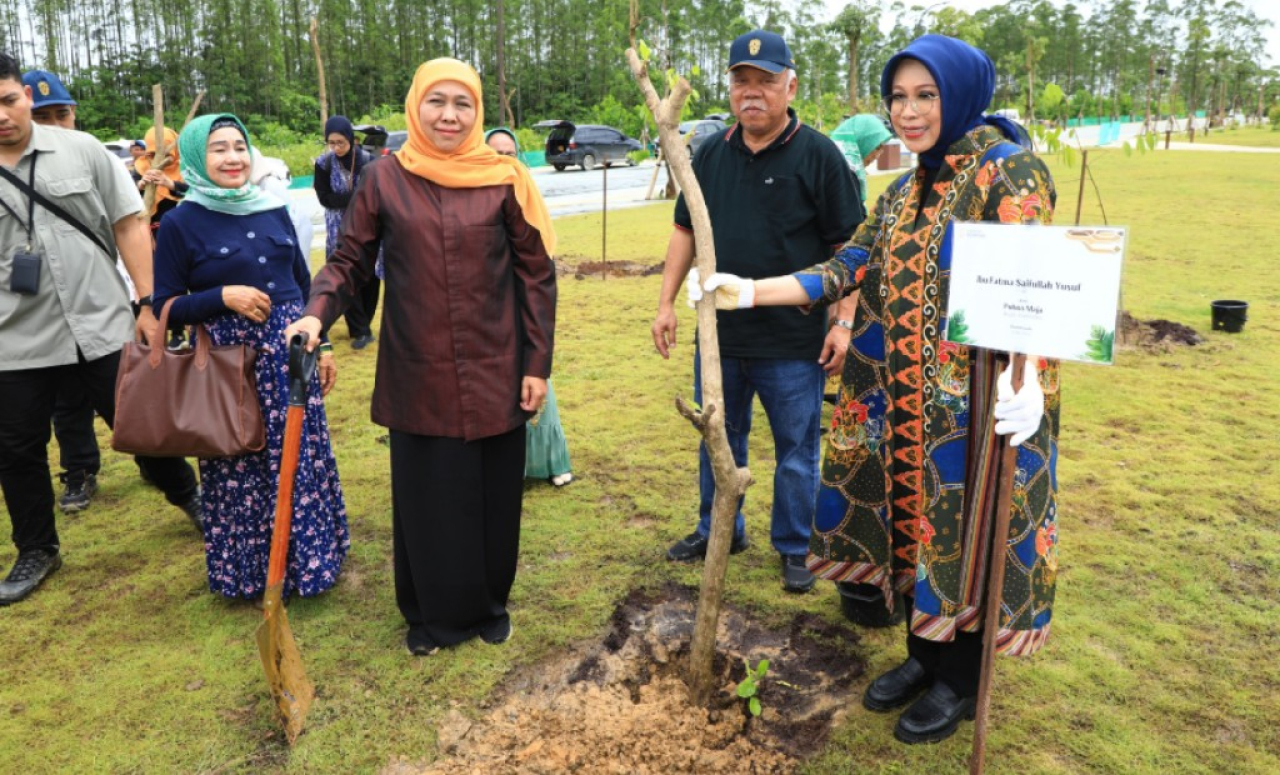 Gubernur Jawa Timur Khofifah Indar Parawansa menanam pohon maja di kawasan Plaza Bhinneka Tunggal Ika, Ibu Kota Nusantara (IKN), Kalimantan Timur, Senin (12/5/2025).