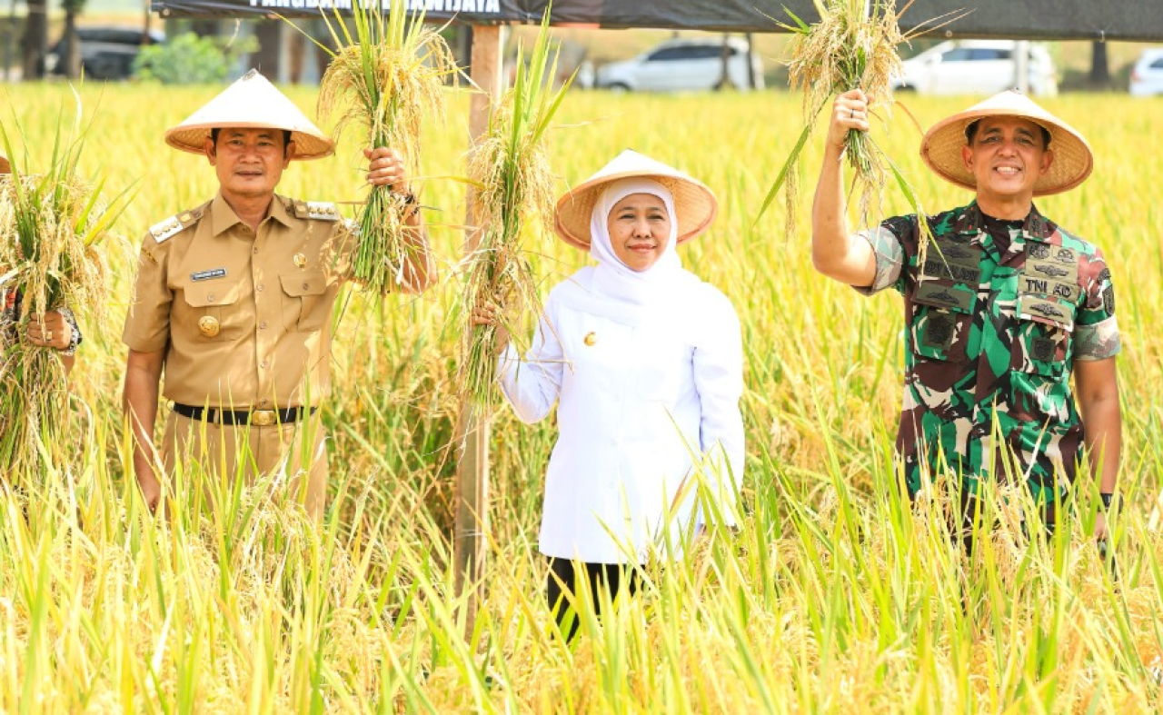 Khofifah Apresiasi Kampung Pandu, Siap Replikasi Pertanian Terpadu di Jatim