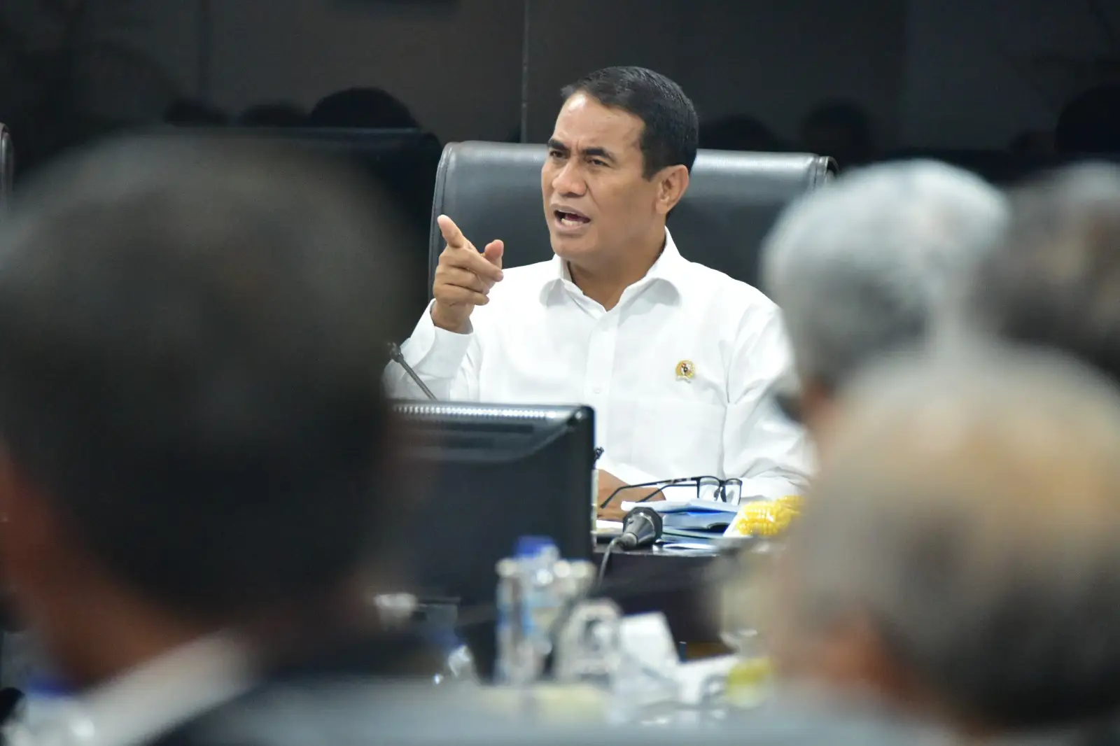 Mentan Pastikan Penurunan Harga Beras Tak Ganggu Kesejahteraan Petani