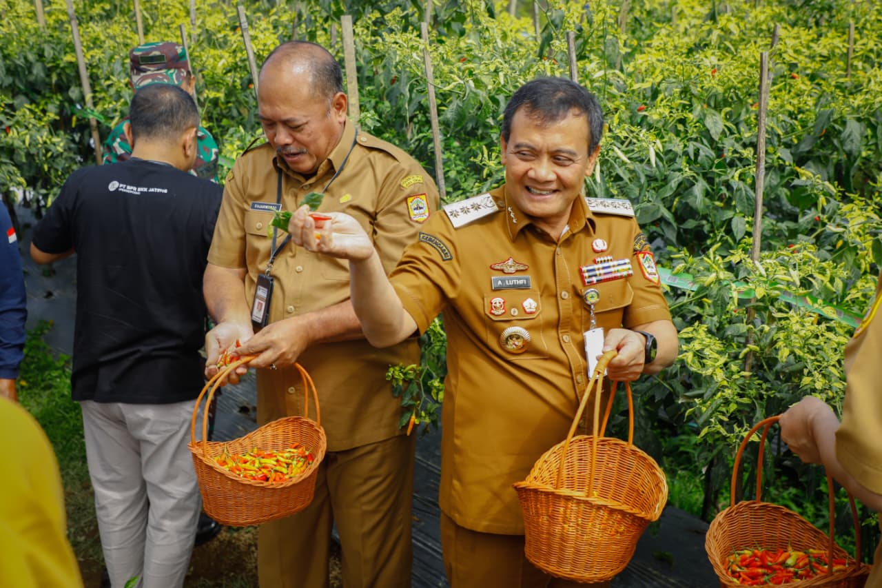 Pemprov Jateng Genjot Produksi Cabai, Kredit Murah Petani Jadi Senjata Tekan Inflasi
